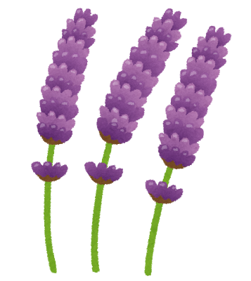ラベンダーのイラスト(花)
